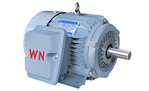 NE系列高效高轉(zhuǎn)矩三相異步電動(dòng)機(jī) NE系列高效高轉(zhuǎn)矩三相異步電動(dòng)機(jī)